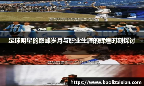 BB贝博登录入口