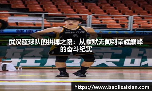 BB贝博登录入口